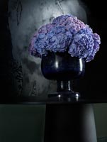 Hydrangeas in black vase