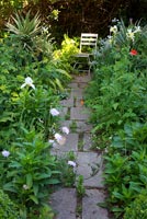 Path through cottage garden