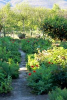 Path through ountry garden