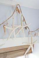 Starfish display