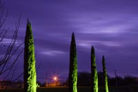 Avenue of Cypress trees lit up at night - Chateau du Riveau