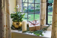 Windowsill with potted Hellebore and Christmas decorations