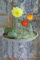 Autumnal still life with Pumpkin, Dahlias on vintage metal table