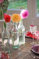 Dahlias in vintage french bottles on dining table