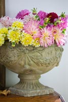 Stone urn filled with Dahlias
