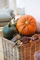 Autumnal display of Pumpkins and pine cones in log basket
