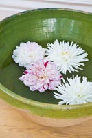 Vintage french bowl with floating Dahlia display