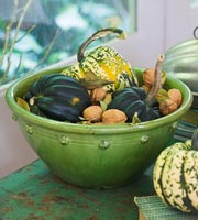 Vintage french bowl with autumnal squashes and walnuts