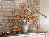 Christmas arrangement of Crabapple branches in kitchen