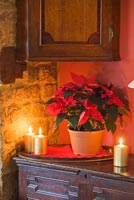 Poinsettia and Christmas candles