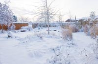 Country garden under snow