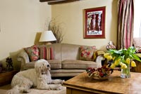 Country living room with pet dog by sofa