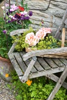 Basket of cut flowers on wooden seat