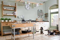 Country kitchen with pet dogs