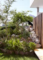 Rock garden and tropical planting