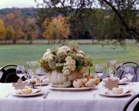 Garden table set for autumnal meal