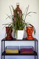 Houseplant on metal console