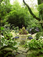 Secluded patio with Ferns and Hostas in pots