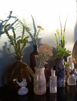 Flowers in vintage bottles
