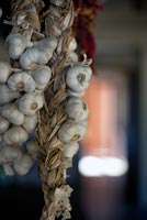 Garlic bulbs hanging in kitchen