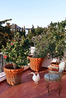 Balcony with terracotta pots