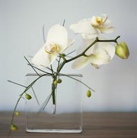 Simple flower arrangement