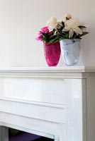 Pink Peonies in vases on marble mantelpiece
