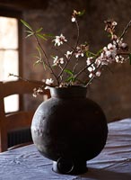 Blossom in iron vase