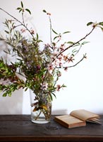Herbs and blossom stems in glass vase