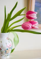 Pink Tulips in floral vase