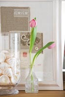 Pink Tulips in glass vase