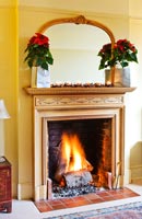 Fireplace with Poinsettias on mantelpiece