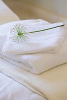 Folded towels and Allium flower