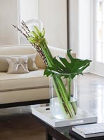 Arrangement of Willow stems and Amaryliis in white living room