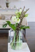Arrangement of Willow stems and Amaryliis in white living room