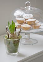 MInce pies and Hyacinth in glass pot