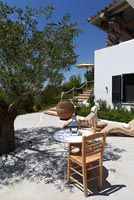 Patio with Olive tree