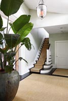 Classic hallway with large pot plant
