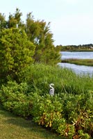 Border of shrubs and ornamental grasses by lake