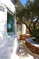 Traditional courtyard garden with Olive trees
