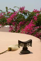 Traditional patio with Bougainvillea