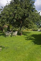 Lawned garden with seating area under tree