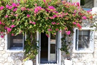 Traditional stone house with Bougainvillea growing up walls