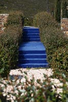 Landscaped garden with blue steps