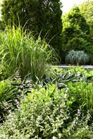Border of Ornamental grasses, Catmints and Hostas