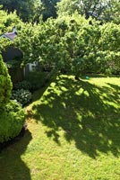 Lawned back garden viewed from above