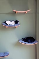 Wall mounted cat beds