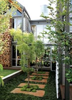 Contemporary house and tropical garden
