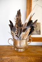 Collection of feathers