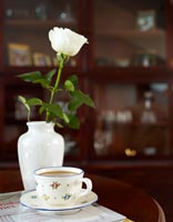White Rose in vase